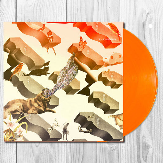 I'm Kingfisher - Transit (Limited edition orange vinyl)